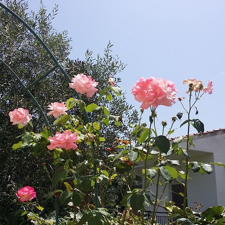 Villa Helena กาวอส ภายนอก รูปภาพ